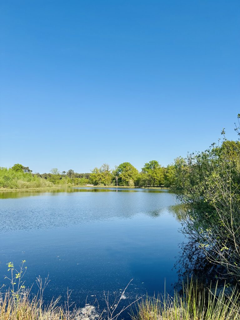 Rustgevend waterlandschap in Geel-Bel omringd door groen – ideale plek voor een natuurwandeling en stiltebeleving in België.